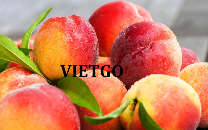 VIETGO-xuat-khau-hoa-qua-Oman VIETGO-xuat-khau-hoa-qua-Oman